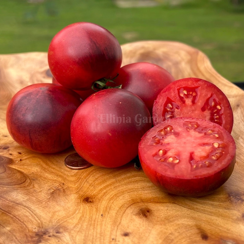 ElliniaGarden Amethyst Jewel Tomato Seeds