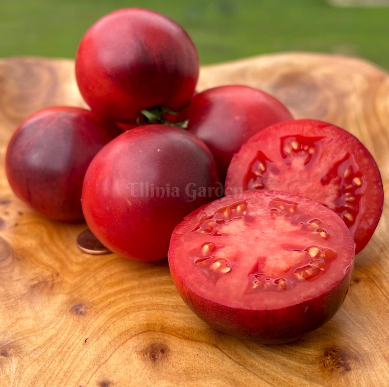 ElliniaGarden Amethyst Jewel Tomato Seeds - Thumbnail 2