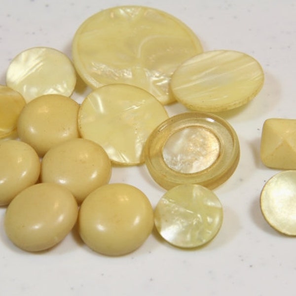 Celluloid Shank Buttons Antique 1900's Assorted Ivory 15 Celluloid Buttons