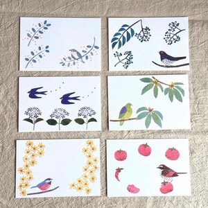 May include: Set of six white greeting cards with colorful illustrations of birds, flowers, and fruit. Each card features a unique design, including birds perched on branches, flying swallows, and floral arrangements. The cards are perfect for various occasions.