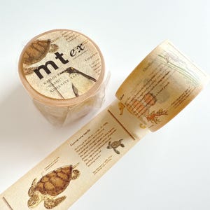 mt ex Washi Tape – “Marine Creatures Encyclopedia” – 30mm × 7m – Made in Japan by Kamoi Kakoshi