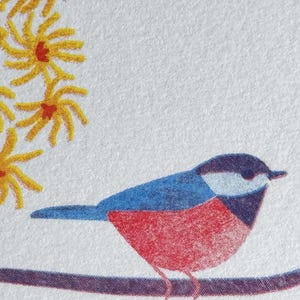 May include: A colorful illustration of a bird perched on a branch, with yellow flowers in the upper left corner. The bird has a blue back, red chest, and a black and white head. The branch is a dark purple color.