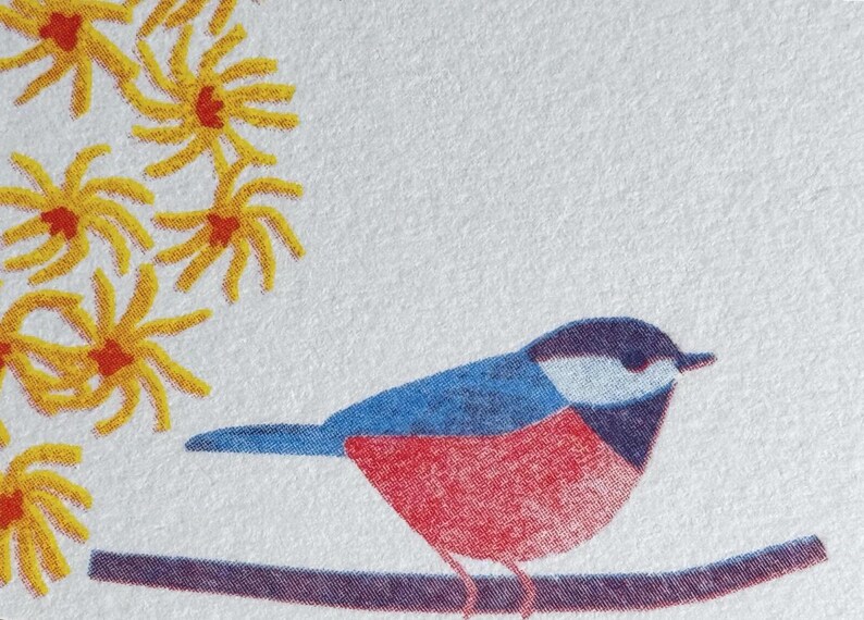 May include: A colorful illustration of a bird perched on a branch, with yellow flowers in the upper left corner. The bird has a blue back, red chest, and a black and white head. The branch is a dark purple color.