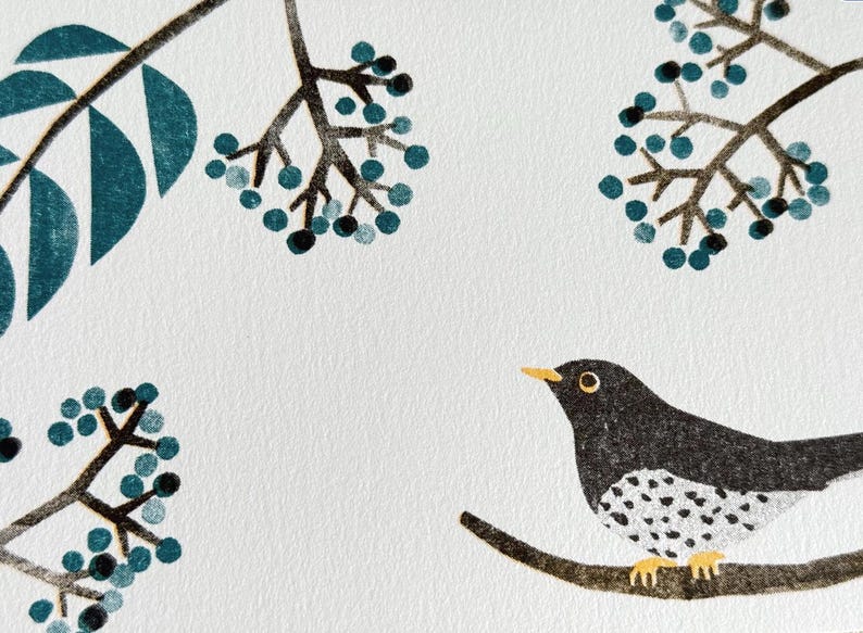 May include: A detailed illustration of a black bird with white speckled markings perched on a branch. The artwork features teal-colored berries and leaves against a white background, creating a nature-inspired design.