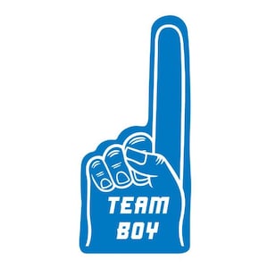 3 - TEAM Boy Foam Fingers