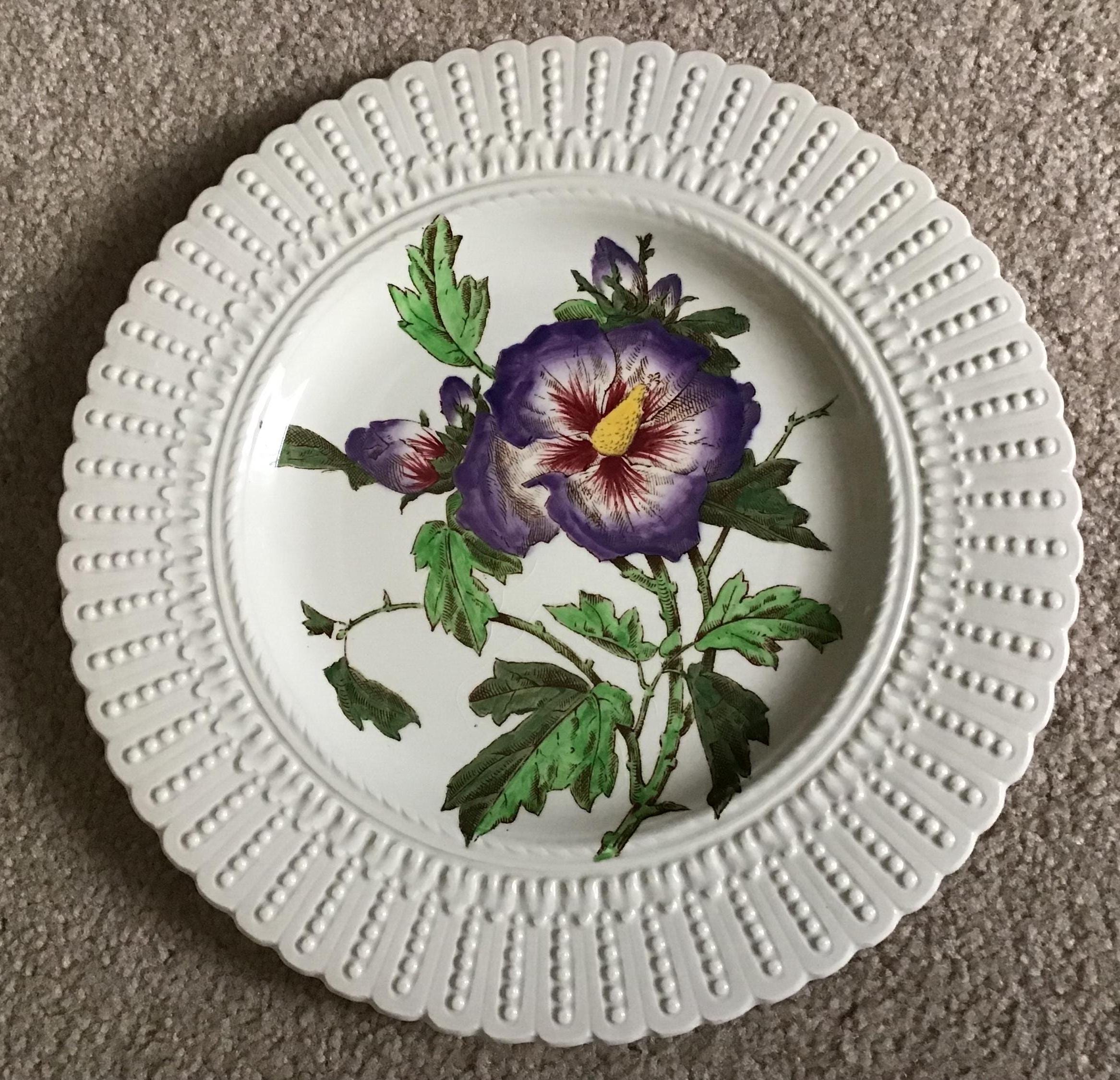 Antique Royal Cauldon Plates - Etsy