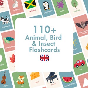 110+ Animal, Bird and Insect Digital Flashcards in British English
