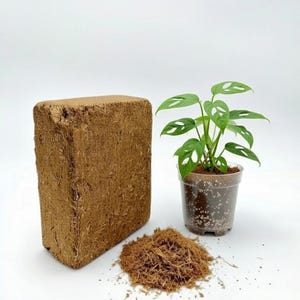 Puede incluir: Un ladrillo rectangular de fibra de coco comprimida marrón, un pequeño montón de fibra de coco suelta y una planta en maceta con hojas verdes. El ladrillo de fibra de coco es un bloque sólido, mientras que la fibra de coco suelta está triturada.