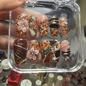 Leopard Print Press On Nails, Brown Cat Eye Nails, Gold Chain Nails, Luxury 3D Flower Nails, Coquette Almond Stiletto Nails