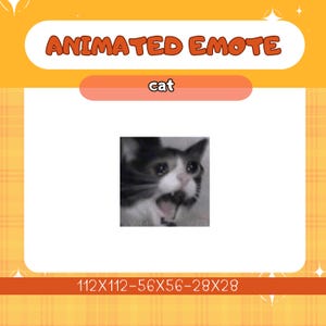 Twitch Animate Emote Cry Cat ,Funny, Cat Emote, Twitch Emote,Instant Download/Ready to Use (transparent) ,Twitch-Digital Download