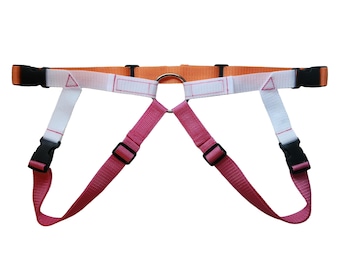 Lesbian Pride Flag Strap On Hip Harness - Adaptive & Adjustable