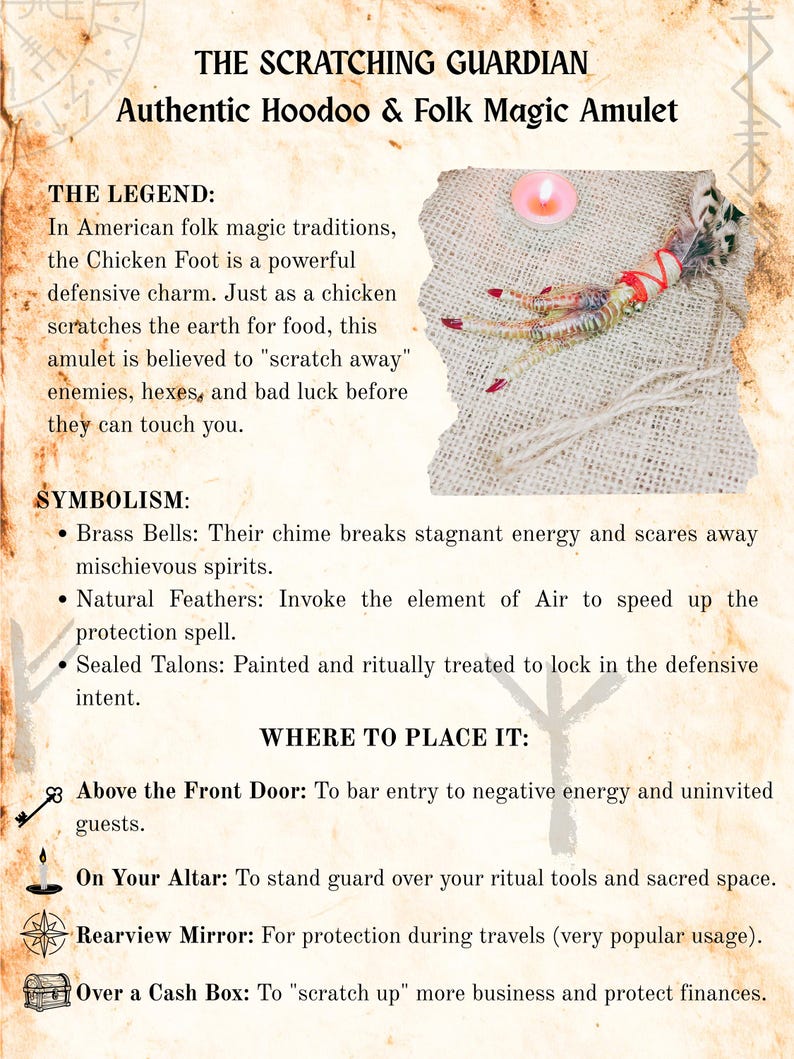 Echte voodoo-kippenvoet, beschermingsamulet, gotische eigenaardigheden, hoodoo-altaar en macaber decor afbeelding 2