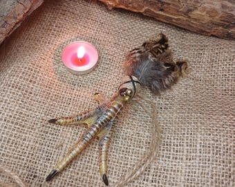 Real Voodoo Chicken Foot, Protection Amulet, Gothic Oddities, Hoodoo Altar Tool & Macabre Decor