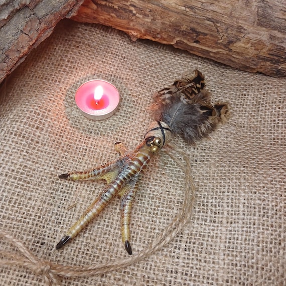 Real Voodoo Chicken Foot, Protection Amulet, Gothic Oddities, Hoodoo Altar Tool & Macabre Decor