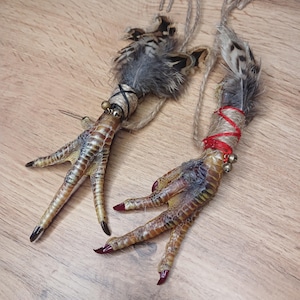 Op de afbeelding: Twee decoratieve vogelpoten met veren en touw. E&eacute;n voet is omwikkeld met zwart touw en heeft een klein belletje. De andere voet is omwikkeld met rood touw en heeft twee kleine belletjes. De teennagels zijn donkerrood geverfd.
