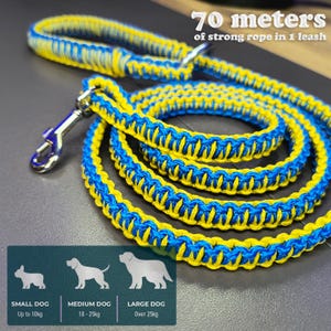 Strong Yellow Blue Dog Leash 5 ft – Braided Paracord Lead for Medium and Large Dogs, Reinforced Handle with Steel Ring & Carabiner