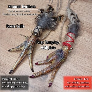 Echte voodoo-kippenvoet, beschermingsamulet, gotische eigenaardigheden, hoodoo-altaar en macaber decor afbeelding 3