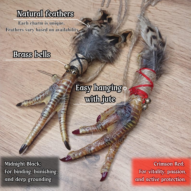 Echte voodoo-kippenvoet, beschermingsamulet, gotische eigenaardigheden, hoodoo-altaar en macaber decor afbeelding 3