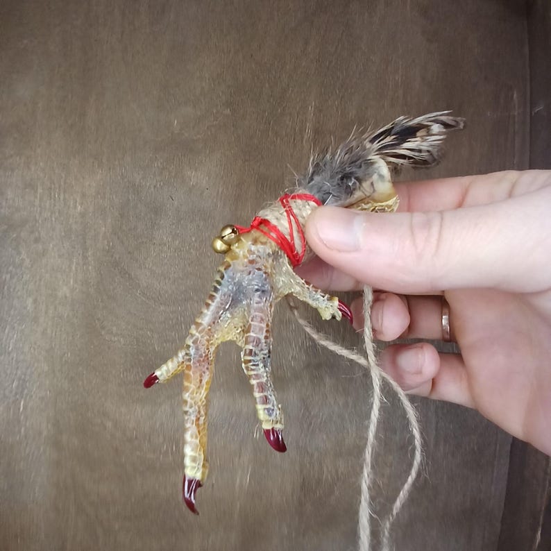 Op de afbeelding: Een geconserveerde vogelpoot, versierd met een rode draad, kleine gouden belletjes en een veer. De poot heeft rode klauwen en is bevestigd aan een stuk touw. De poot is geel, bruin en bruin van kleur.