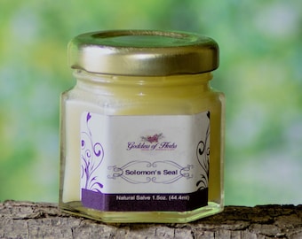 Solomon's Seal Salve, 1.5 oz, Topical Relief, Massage, Topical Healing Salve, Bone and Tendon Salve, Best Solomons Seal Salve, Polygonatum