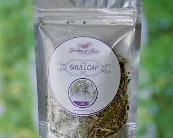 Skullcap, 1 Oz Dry Skullcap, Scullcap, Skullcap tea, herbal remedy, alternative remedy, magickal herbs, metaphysical herbs, Goddess of Herbs