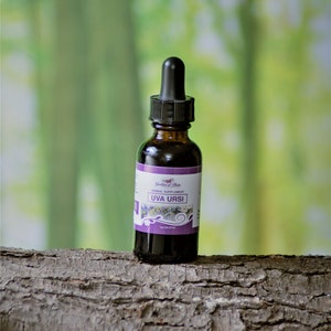 May include: A dark brown glass bottle with a dropper top, containing a herbal supplement called "Uva Ursi" by "Goddess of Herbs". The bottle is sitting on a piece of tree bark.