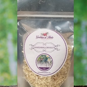 Marshmallow Root, 1 Oz Dry Root, Natural remedy, herbal remedy, alternative remedy, magickal herbs, metaphysical herbs, Goddess of Herbs