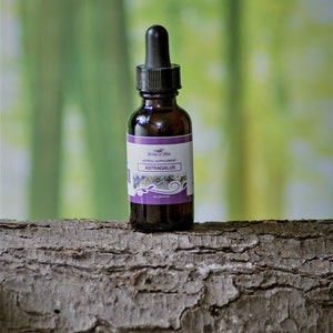 May include: A brown glass bottle with a dropper top and a purple label that reads "Goddess of Herbs Herbal Supplement Astragalus".