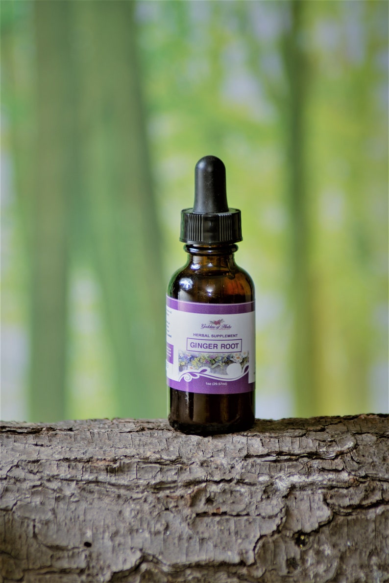 Ginger Root Extract 1 oz herbal extract herbal tincture Etsy