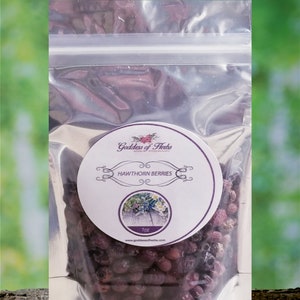 Hawthorn Berries, 1 Oz, magickal herbs, metaphysical herbs, holistic health, wellness herb, natural ingredient