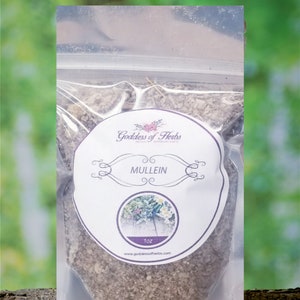 Mullein, 1 Oz Dry Mullein, Mullein Leaf, Dried Mullein, Mullein Tea, Herbal Remedy, magickal herbs, metaphysical herbs, Goddess of Herbs
