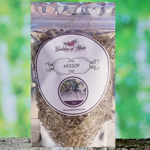 Hyssop, 1 Oz Dry Hyssop, Hyssop tea, hyssop herb, metaphysical herbs, holistic wellness, wellness herb, natural ingredient