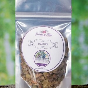 Uva Ursi, 1 Oz Dry Herb, magickal herbs, metaphysical herbs, holistic wellness, wellness herb, natural ingredient