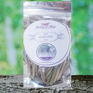 Olive Leaf, 1 Oz Dry Olive Leaf, Best Olive Leaf, holistic health, wellness herb, natural ingredient