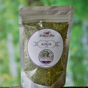 Alfalfa Herb, 1 Oz, magickal herbs, metaphysical herbs,  holistic health, wellness herb, natural ingredient