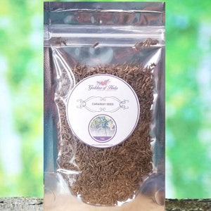 Caraway Seed, 1 Oz Dry Caraway, Caraway Seed, Dried Caraway, Spice, magickal herbs, metaphysical herbs, natural ingredient