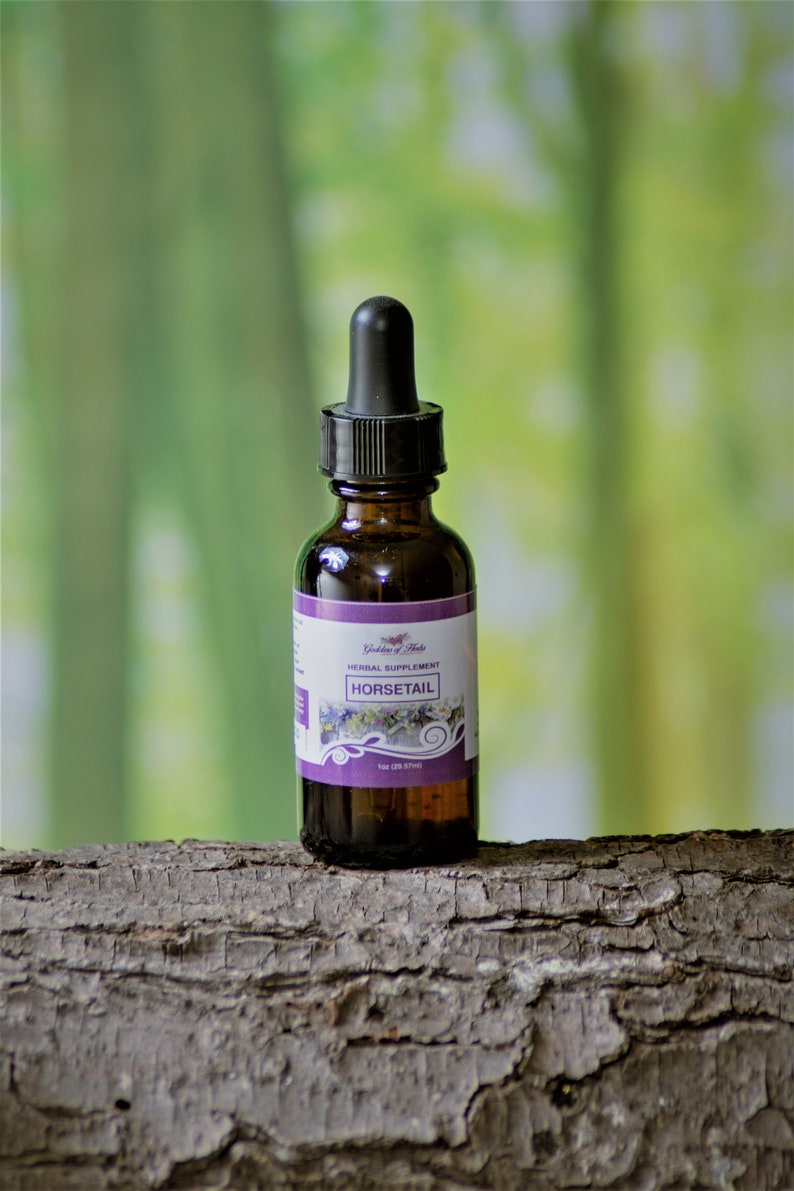 Horsetail Extract 1 oz herbal extract herbal tincture Etsy