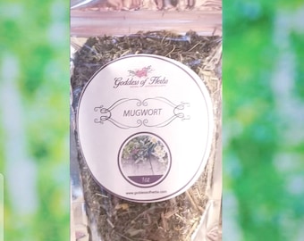 Mugwort, 1 Oz Dry Mugwort, Mugwort Tea, Wormwood,  magickal herbs, metaphysical herbs, holistic wellness, wellness herb, natural ingredient