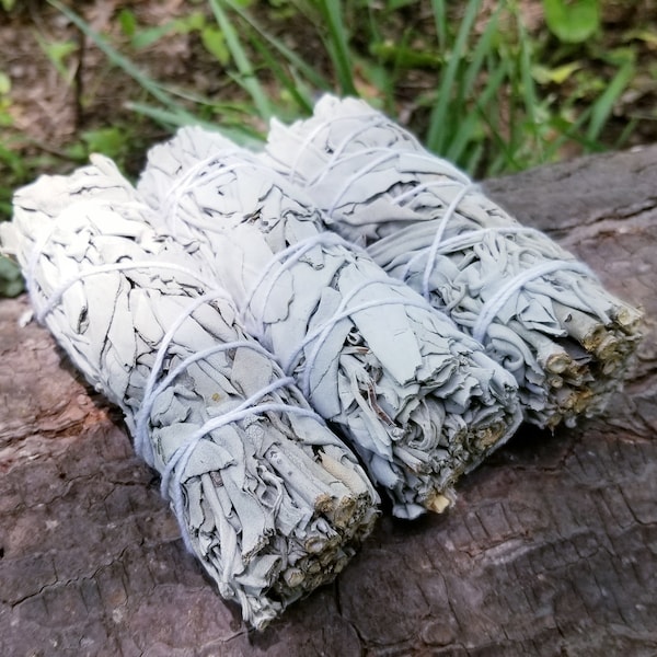 White Sage bundle, goddess of herbs, smudging stick, sage stick, cleansing herbs, clearing energy, best white sage, white sage smudge stick