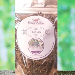 Plantain 1 Oz Dry Plantain, Plantain Leaf, Dried Plantain, Plantain Tea, Herbal Remedy, Metaphysical Herbs, Best Plantain,