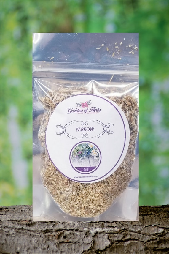 Yarrow, 1 Oz Dry Flower, Natural remedy, herbal remedy, alternative remedy, magickal herbs, metaphysical herbs, Goddess of Herbs