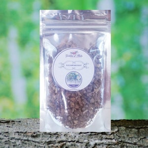 Elecampane Root, 1 Oz Elecampane Root, Best Elecampane Root,  holistic health, wellness herb, natural ingredient