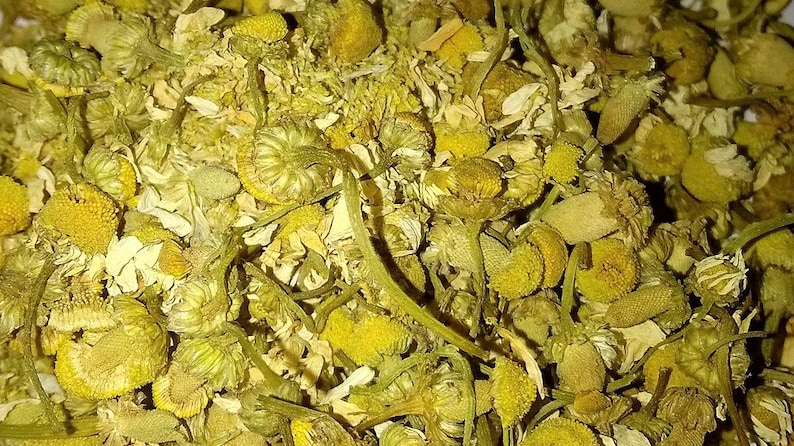 May include: Close-up of dried chamomile flowers, showcasing a mix of yellow and white petals and green stems. The image highlights the natural texture and detail of the herbal tea ingredient, perfect for tea enthusiasts.