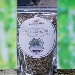 Blue Vervain, 1 Oz Dry Blue Vervain, Blue vervain tea, herbal tea, holistic wellness, wellness herb, natural ingredient, metaphysical herbs