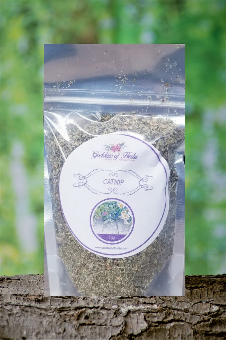 Catnip, Herb, 1 Oz, Magickal Herbs, Metaphysical Herbs, Holistic ...