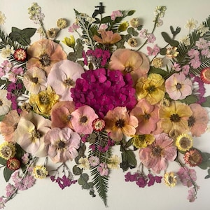 May include: A pressed flower arrangement featuring a central cluster of vibrant magenta hydrangea surrounded by various dried blooms in shades of pale pink, peach, yellow, and deep red, accented with green fern fronds and small leafy stems.