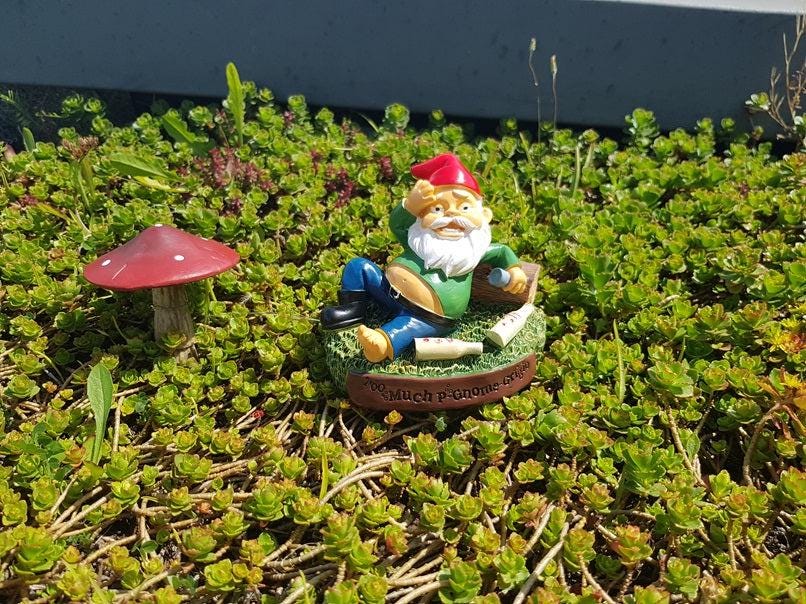 BigMouth Gartenzwerg „Hungover“ – Lustiger Resin-Zwerg Mit Kater, Witterungsbeständig Für Garten & Deko