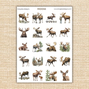Pode incluir: Uma folha de adesivos com várias ilustrações de alces em diferentes poses e ambientes. As imagens mostram alces em pé, andando e pastando, algumas com fundos naturais. A palavra "MOOSE" está impressa no topo.
