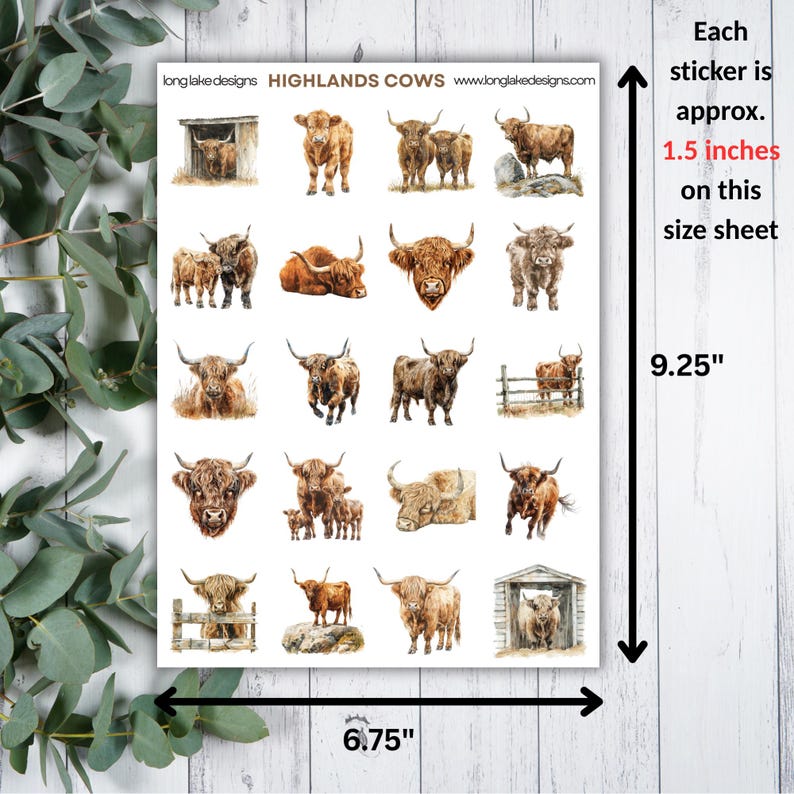 Highland Cows Sticker Sheet, Cute Weatherproof Decals, Perfect for ...