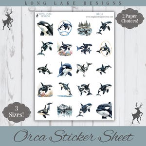 Puede incluir: Una hoja de pegatinas con veinte ilustraciones individuales en acuarela de orcas en varias poses, incluyendo nadando, saltando e interactuando con entornos submarinos, con el texto LONG LAKE DESIGNS y la URL www.longlakedesignsus.etsy.com.